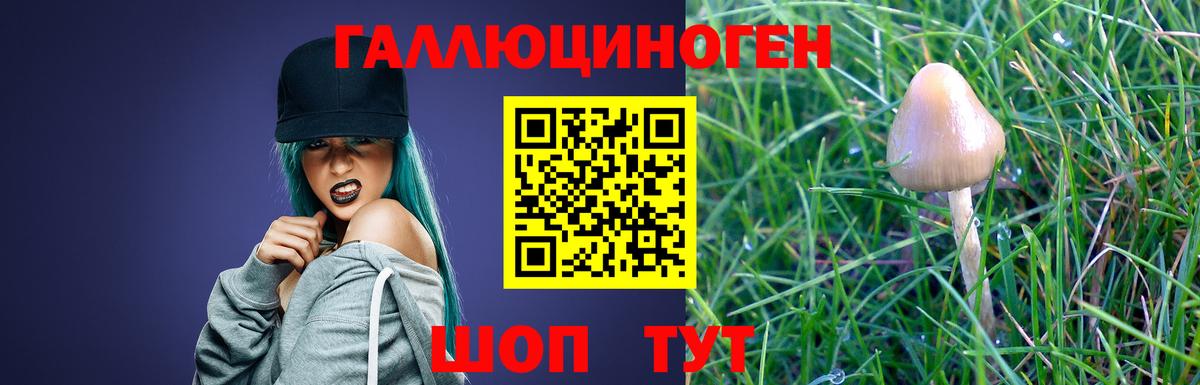 Псилоцибиновые грибы Psilocybine cubensis Старая Купавна